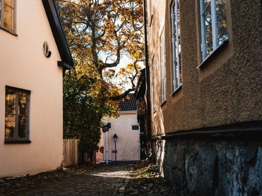 En smal gränd mellan två hus med höstträd i bakgrunden.